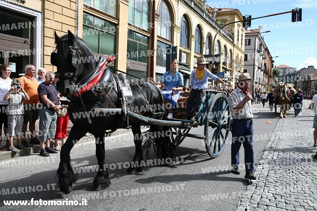 0567.JPG