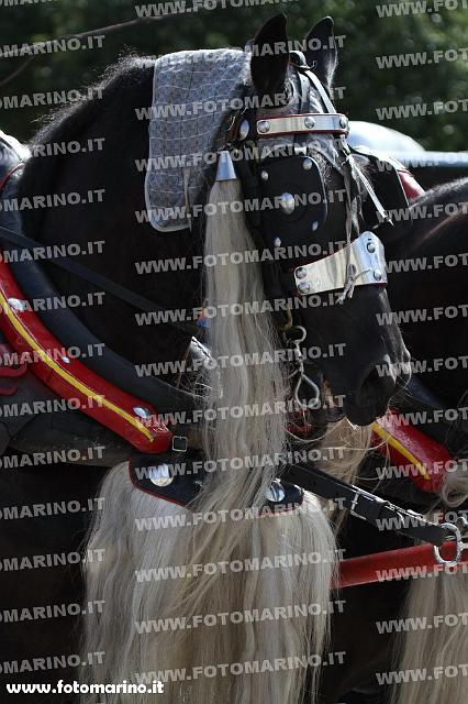 0920.JPG