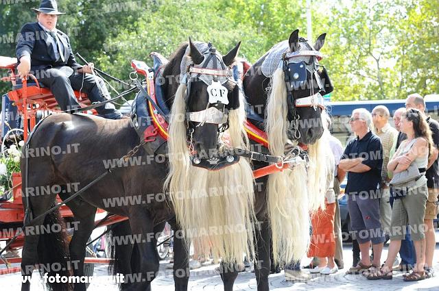 1541.JPG