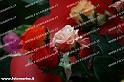 1272