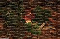 0069
